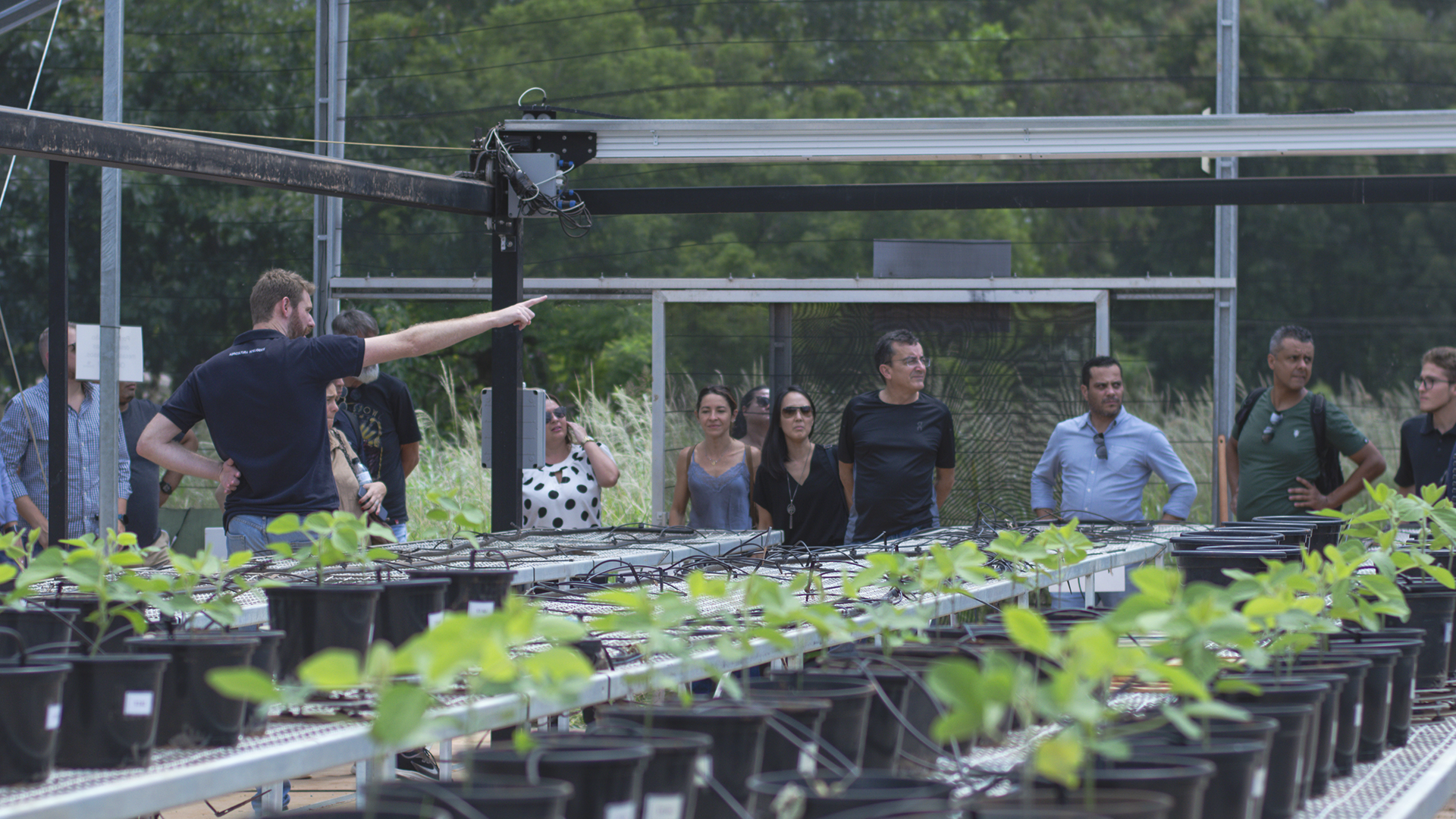 Agroadvance começou com os cursos livres de nutrição vegetal | Crédito: Divulgação