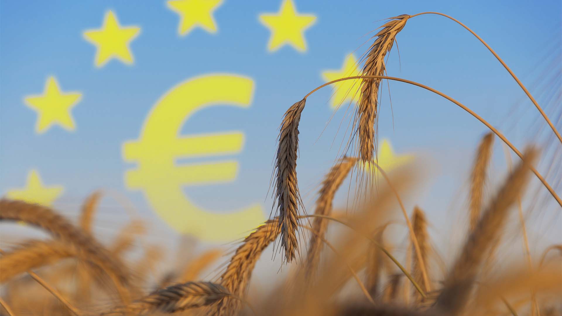 União Europeia vai proibir importações de commodities em função da data do desmatamento; medida pode ser encarada como protecionismo | Crédito: Shutterstock