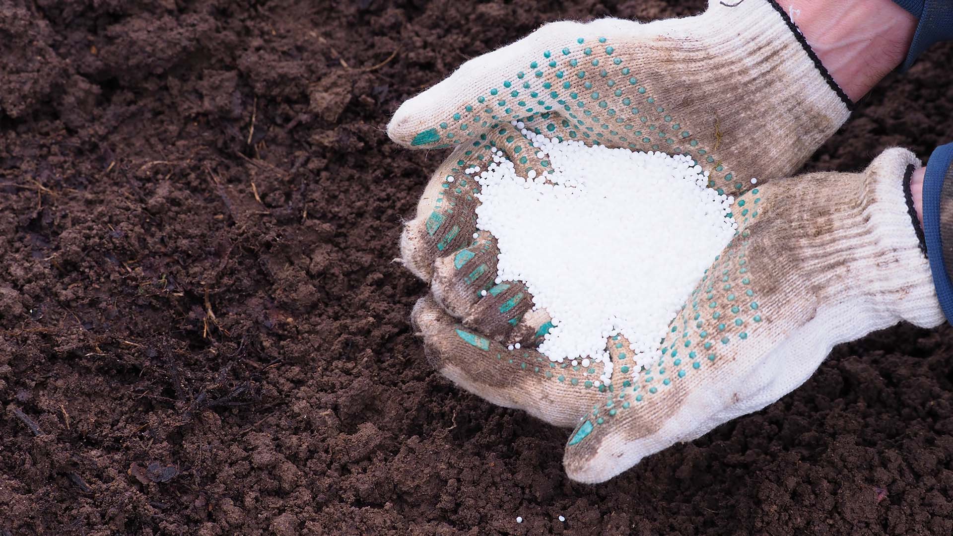 Fertilizantes