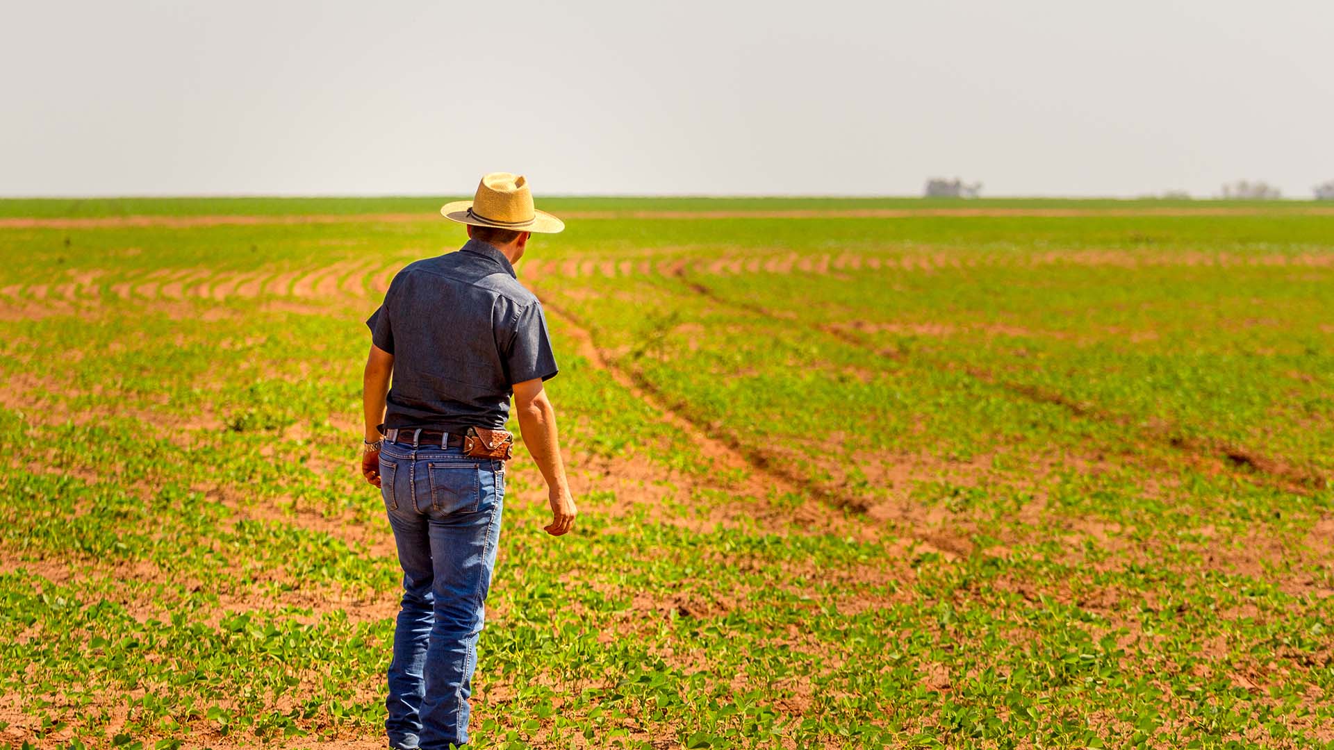 Produtor rural Éxes