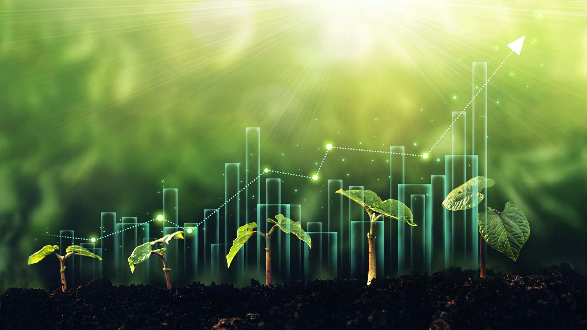 Fiagro: seu sucesso e os reflexos no mercado e no agro