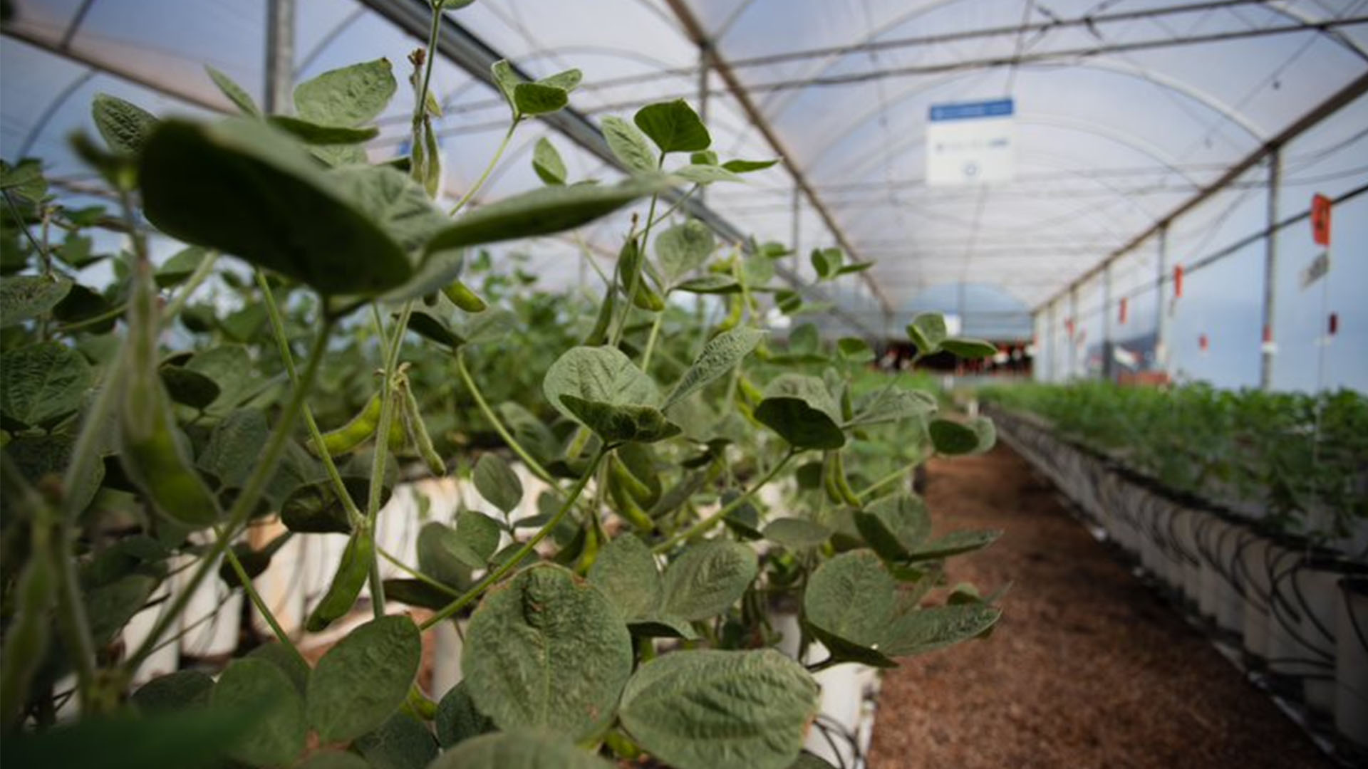 Fábrica de fertilizantes foliares da Nitro em Rondonópolis