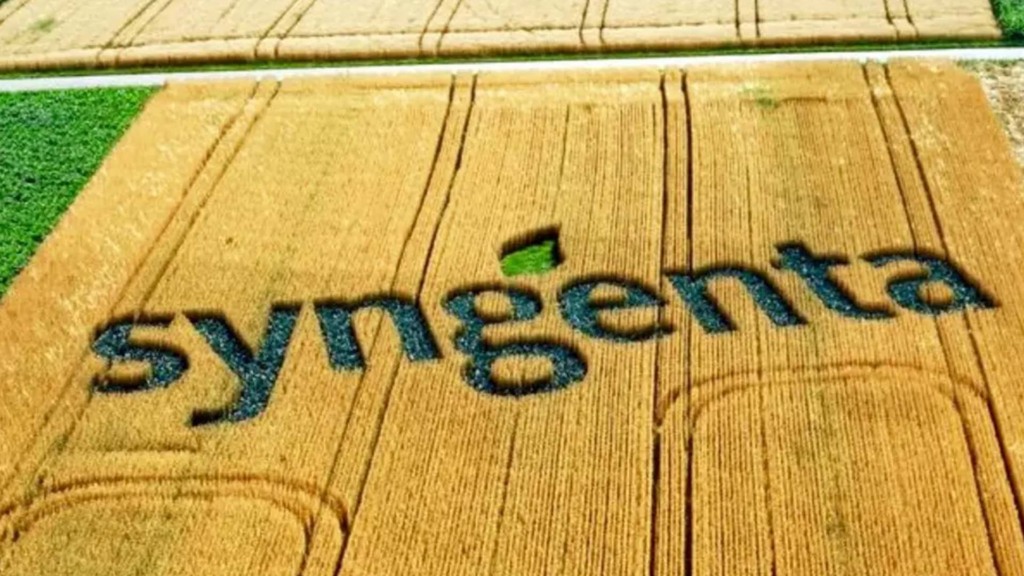 Campo de produção da Syngenta
