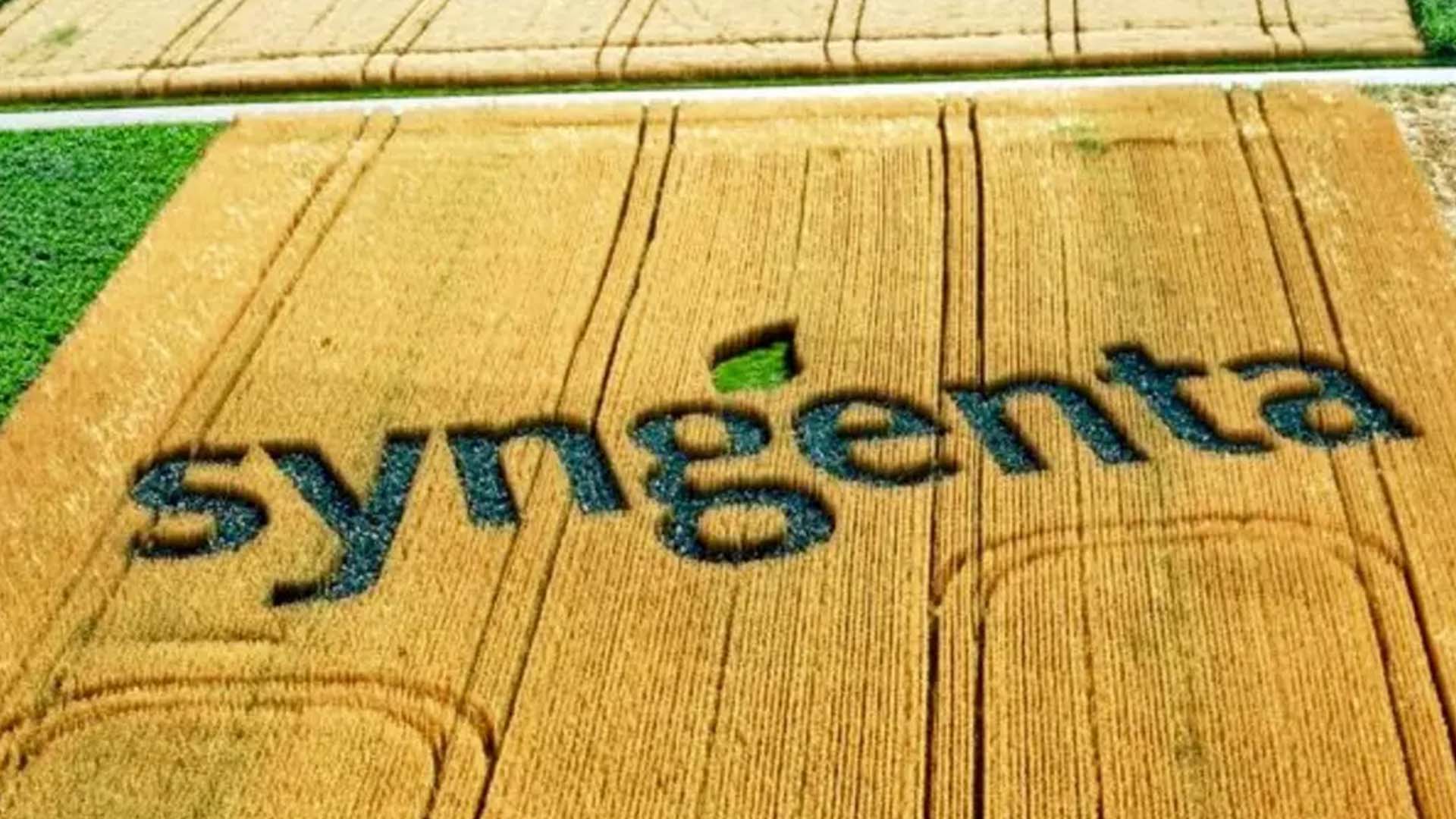 Imagem de campo com o nome Syngenta