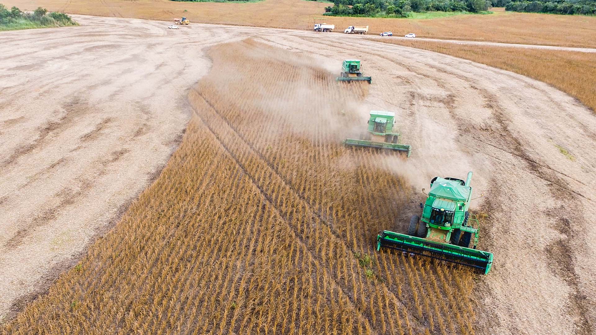 Colheita em Balsas, no Maranhão; BrasilAgro compra empresa para ficar com arrendamento em MT