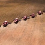 Área de soja em Mato Grosso