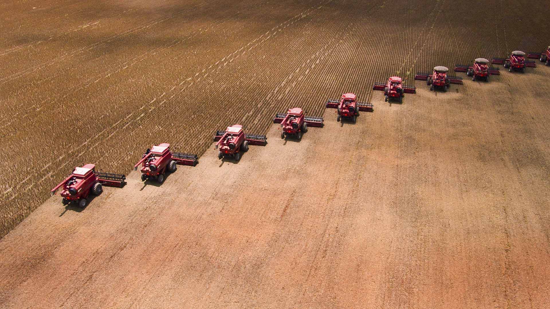 Área de soja em Mato Grosso Área de soja em Mato Grosso