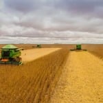 Para dar lucro, produtor de soja precisa de 60 sacas por hectare