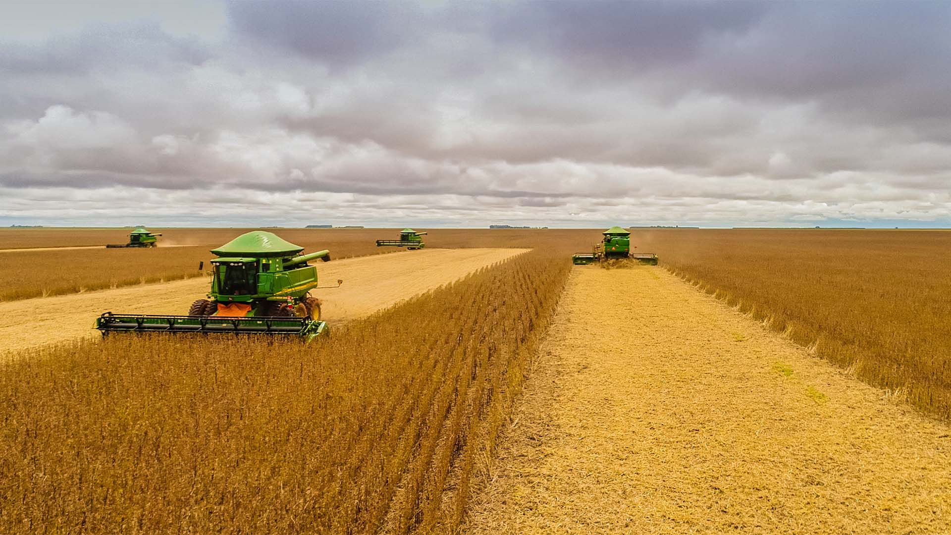 Possível chuva durante colheita de soja exige cautela do agricultor