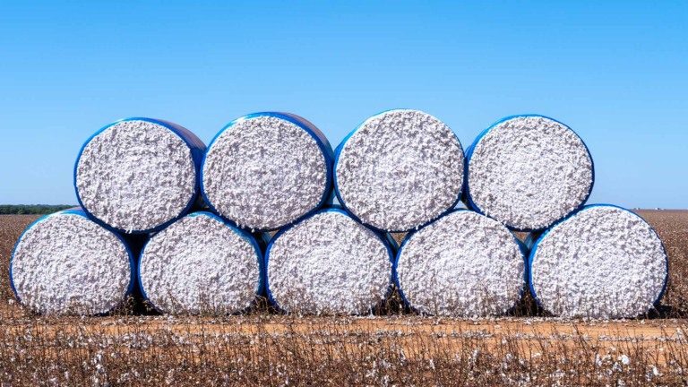 SLC Launches $165 Million Irrigation Push in Brazil’s Cotton Heartland