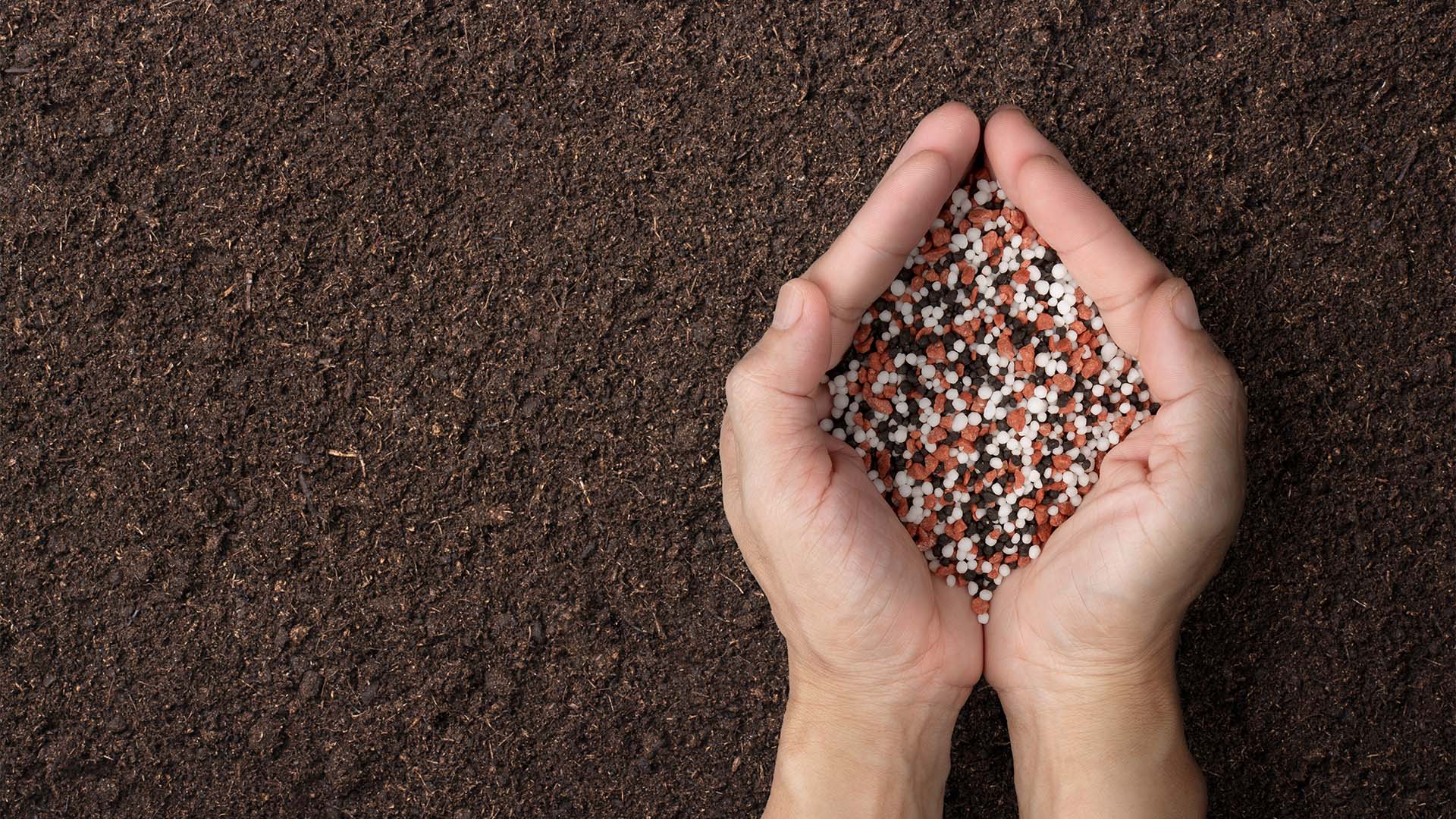 Fertilizantes, margem da soja Fertilizantes, margem da soja