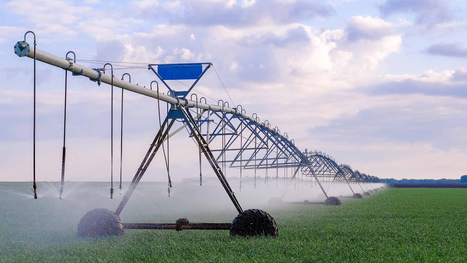 Irrigação por pivô fazenda