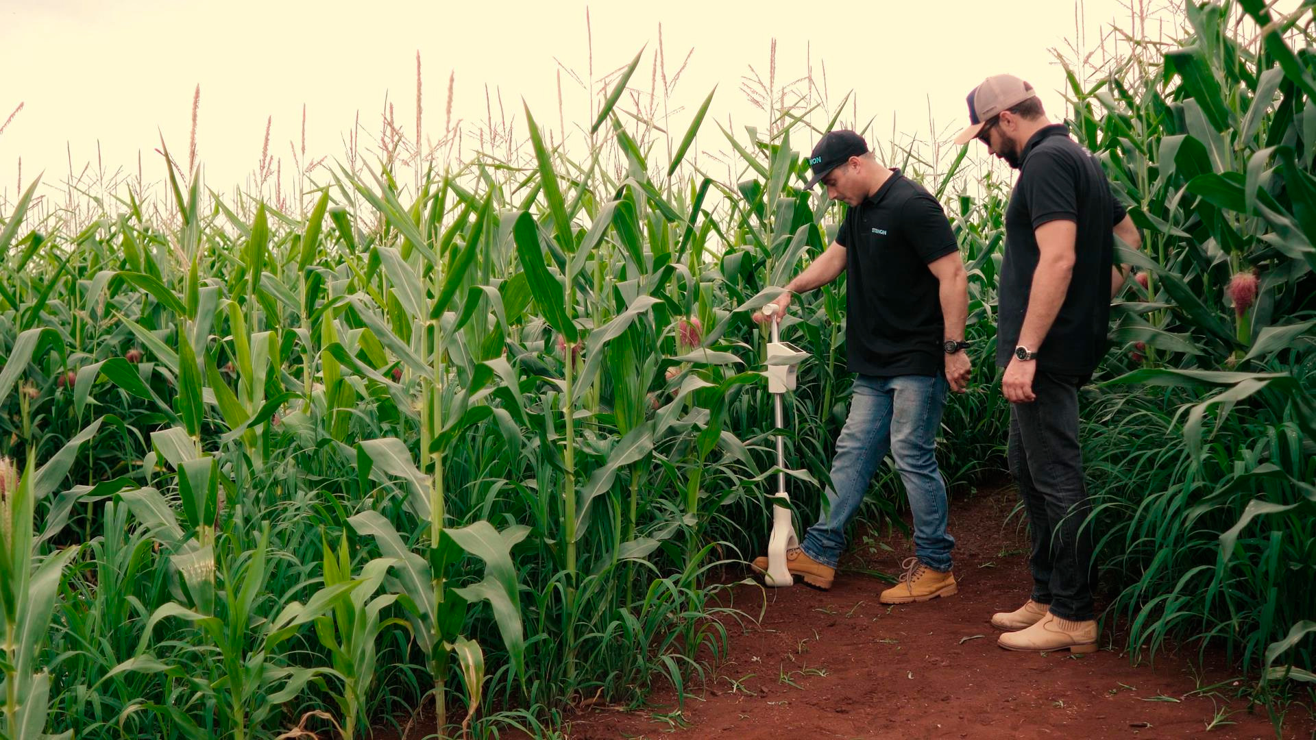 Equipamento da Stenon sendo aplicado em análises de solo; soil testing | Crédito: Divulgação