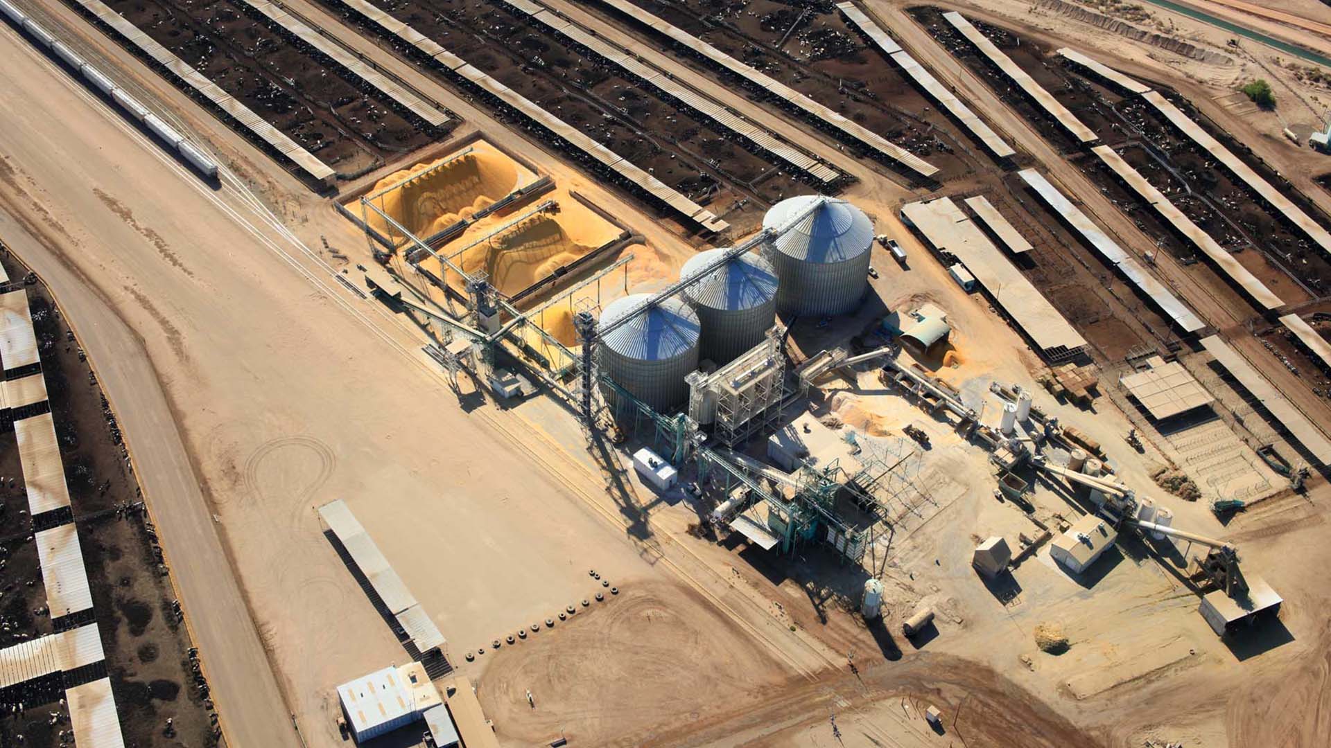 Por que a JBS USA ficou aquém da Tyson Foods Por que a JBS USA ficou aquém da Tyson Foods