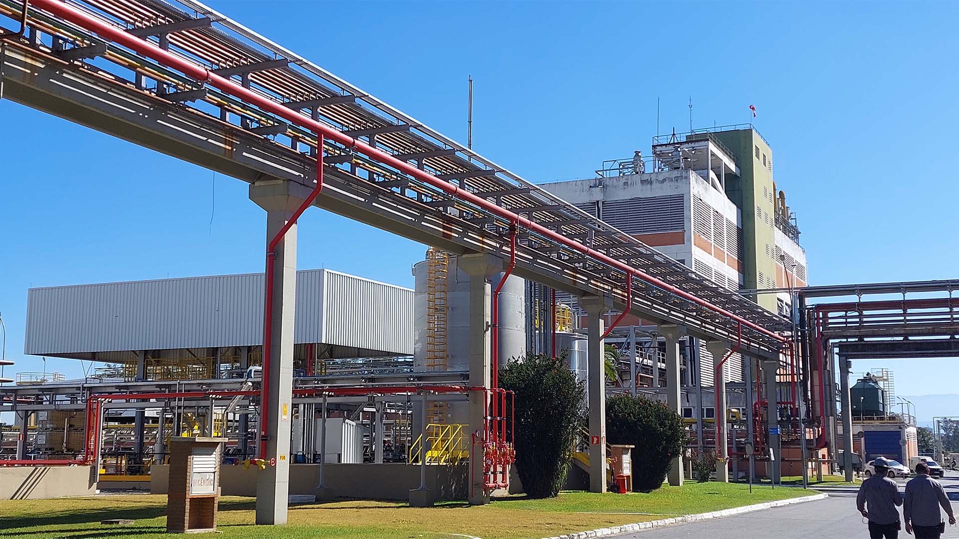 BASF investe em defensivos e sementes no Brasil