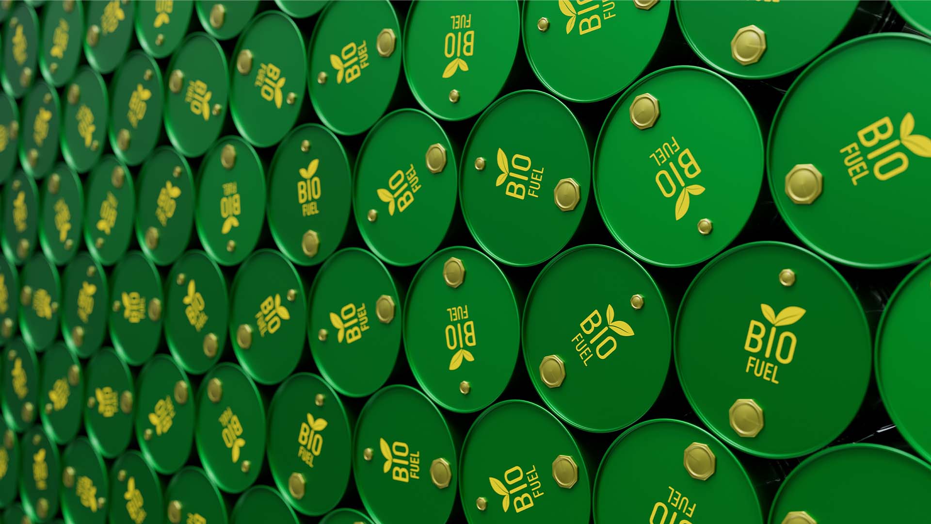 Imagem ilustrativa para biodiesel e biocombustíveis | Crédito: Schutterstock