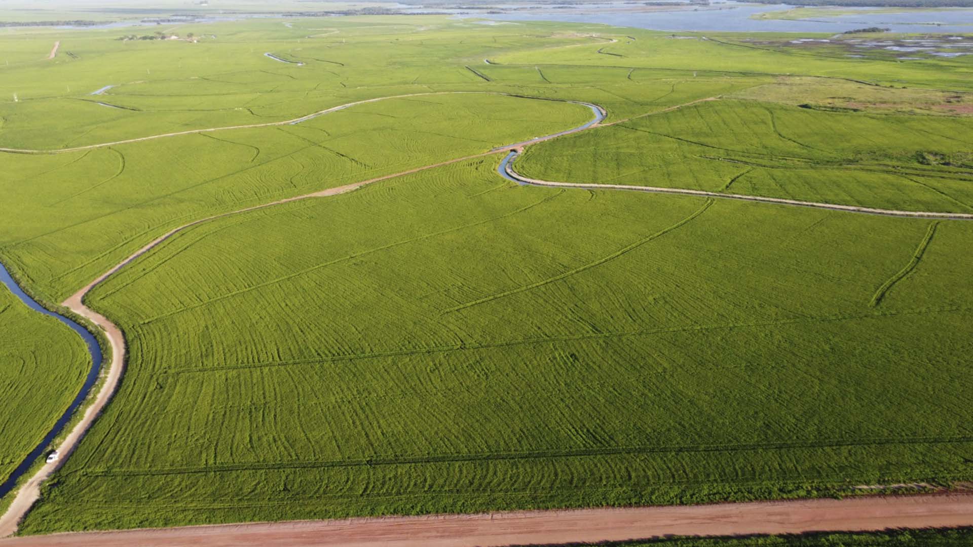 Fazenda de arroz arrendada pela SVP, de Fernando Stein Fazenda de arroz arrendada pela SVP, de Fernando Stein