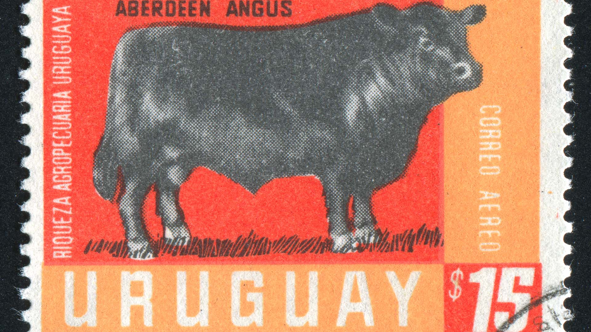 Moeda no Uruguai, boi Minerva Marfrig