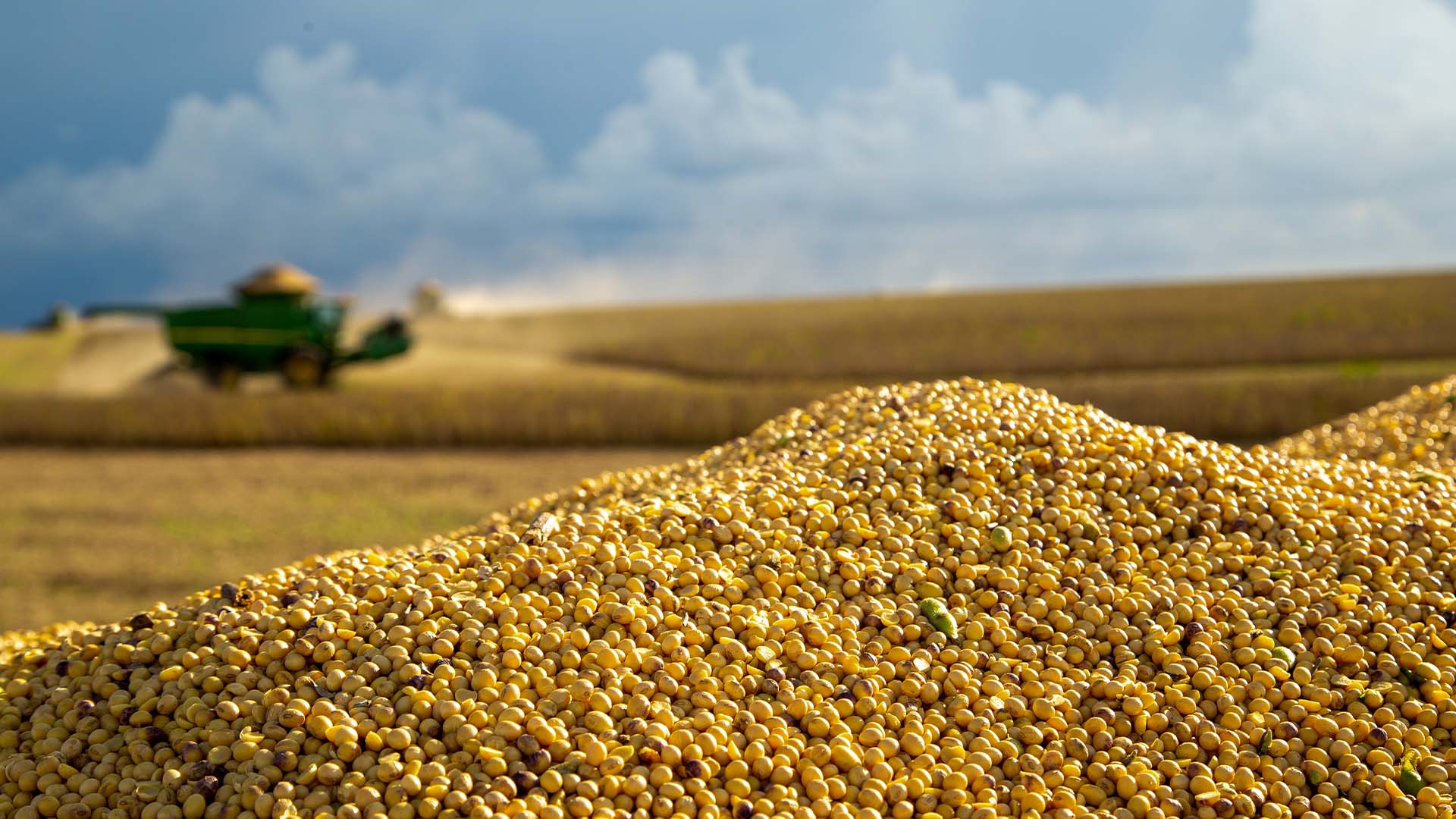 Conab vê aumento de 3% na área de soja