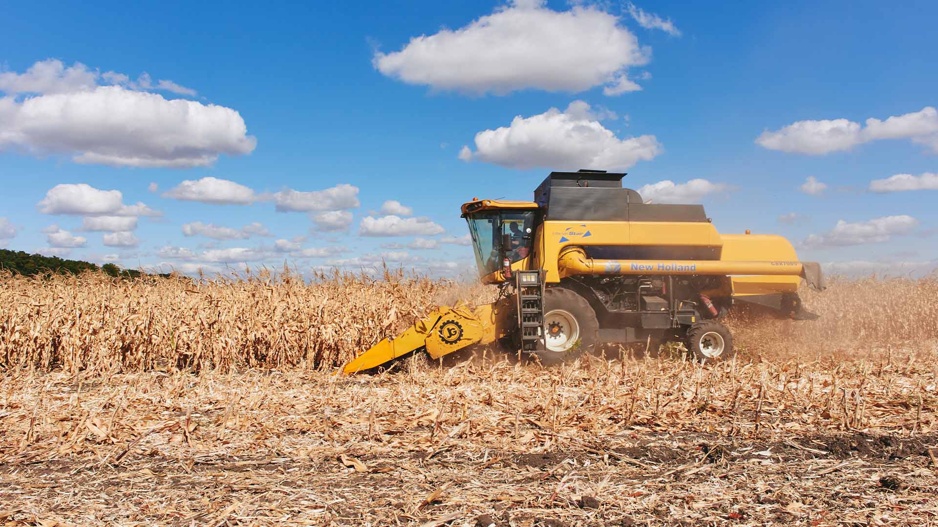 New Holland