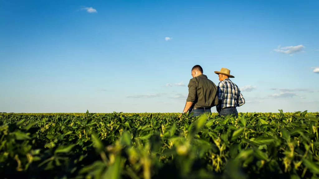Pequeno produtor em campo de soja. Novas regras para biodiesel estimulam agricultura familiar | Crédito: Schutterstock