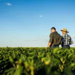 Pequeno produtor em campo de soja. Novas regras para biodiesel estimulam agricultura familiar | Crédito: Schutterstock