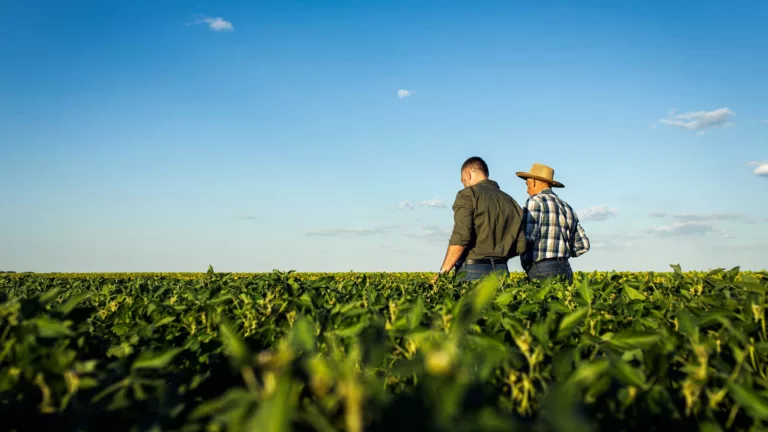 Pequeno produtor em campo de soja. Novas regras para biodiesel estimulam agricultura familiar | Crédito: Schutterstock