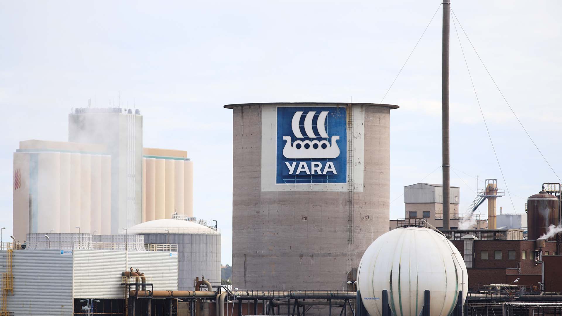 Yara