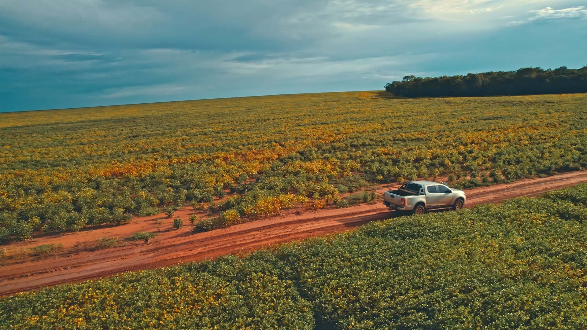 Imagem conceitual para gestão de fortunas no agro | Crédito: Schutterstock