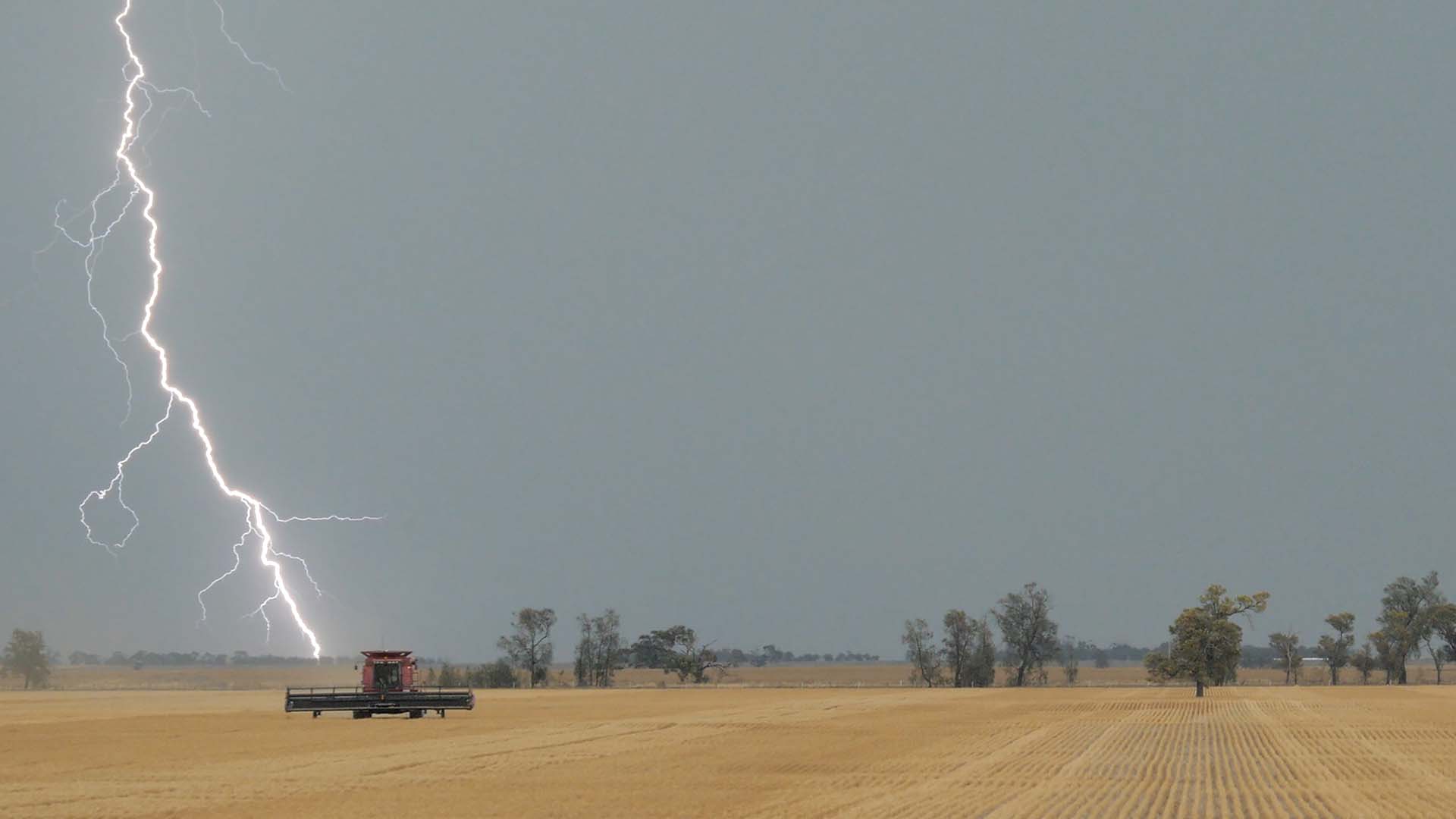 Riscos no agro