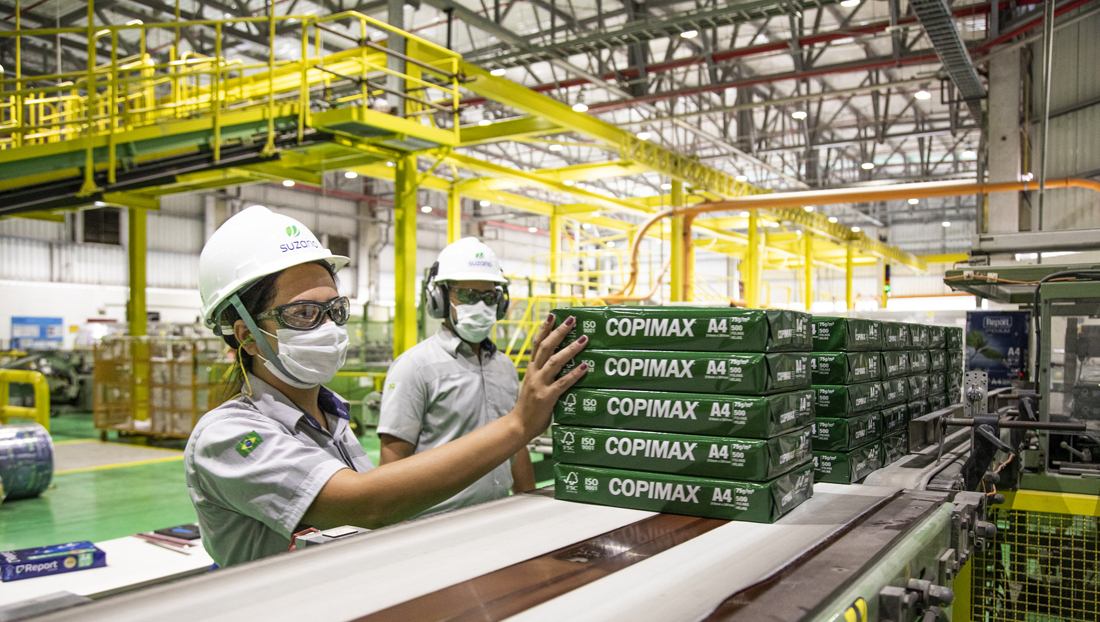 Suzano papel e celulose