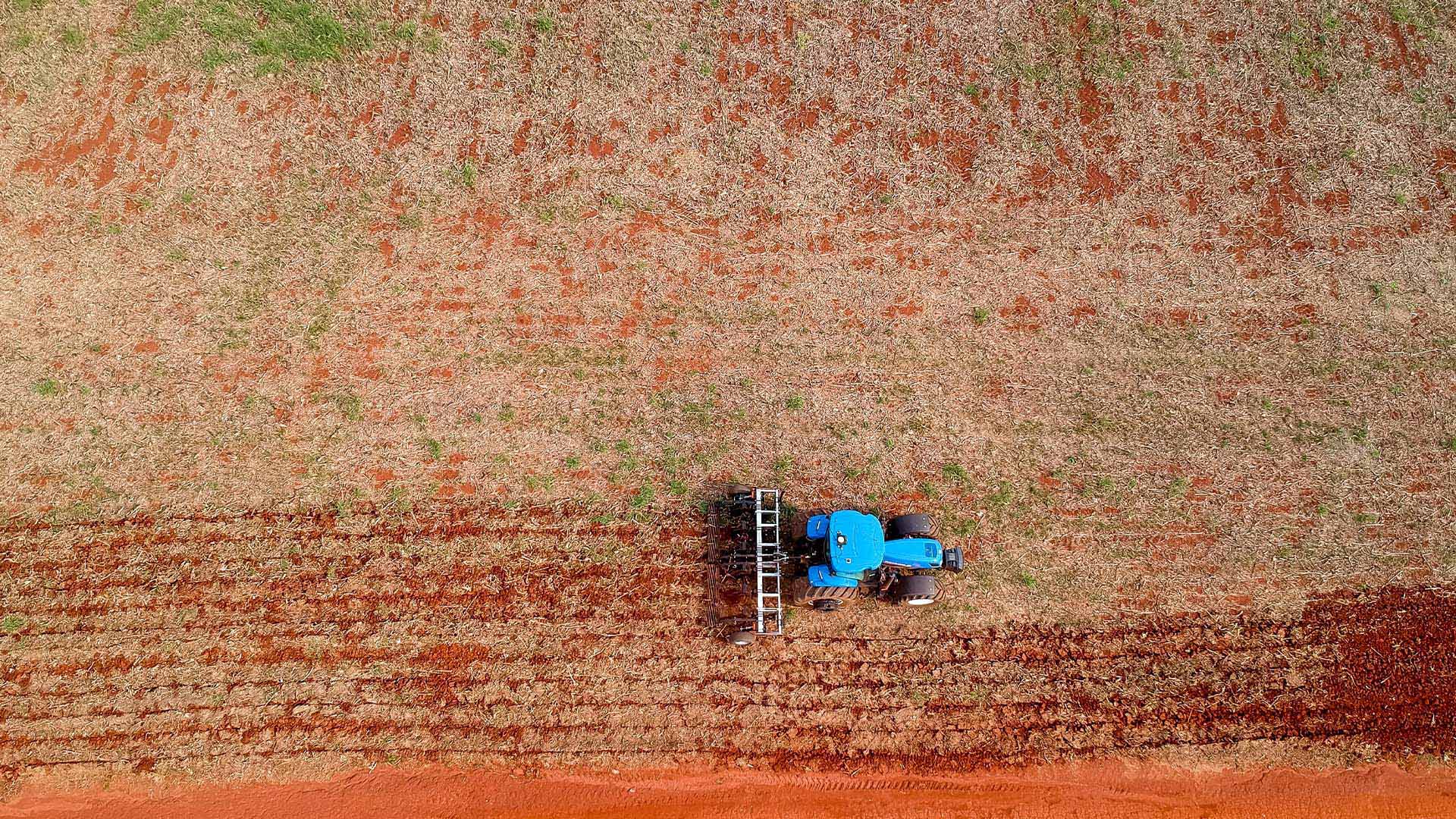 Demora no plantio de milho aumenta risco climático