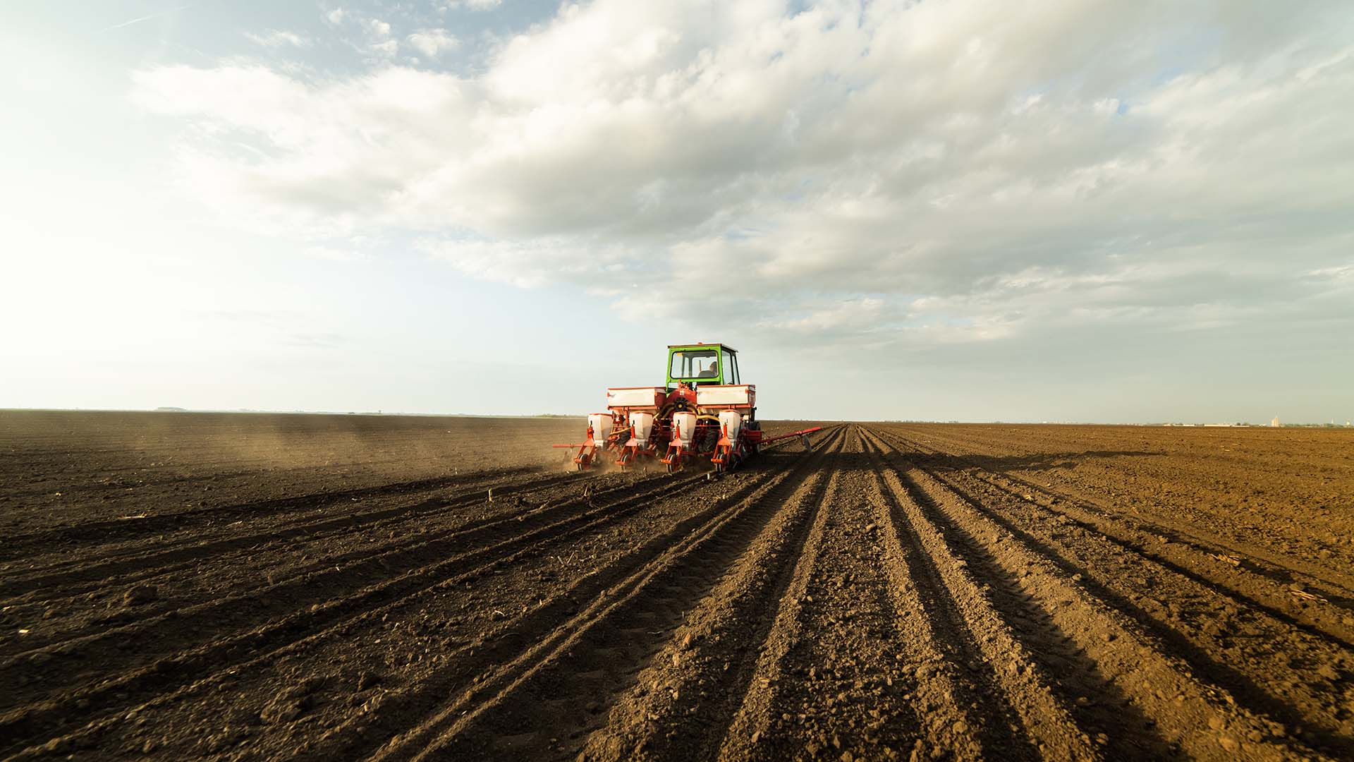 Plantio de soja; BrasilAgro sinaliza margens melhores na próxima safra | Crédito: Schutterstock