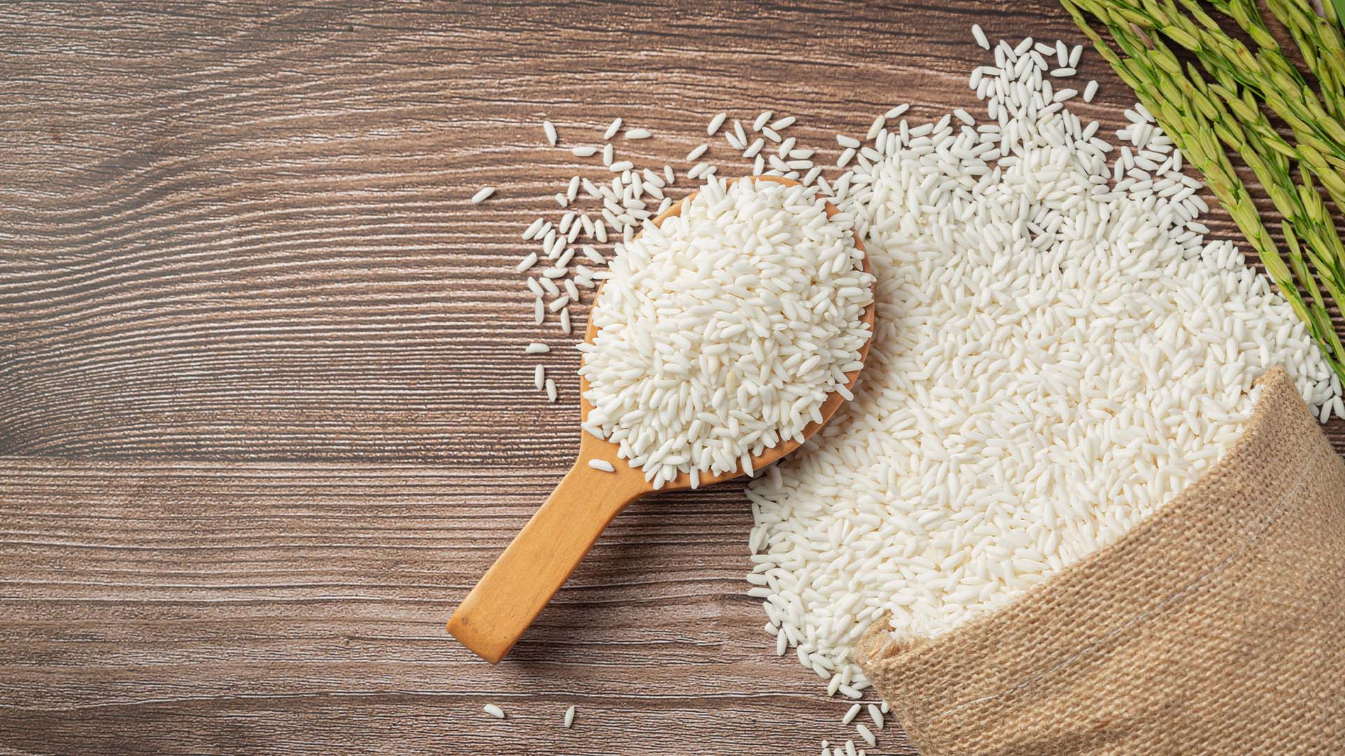 Camil vai sub-arrendar terras no Paraguai para garantir fornecimento de arroz | Crédito: Schutterstock
