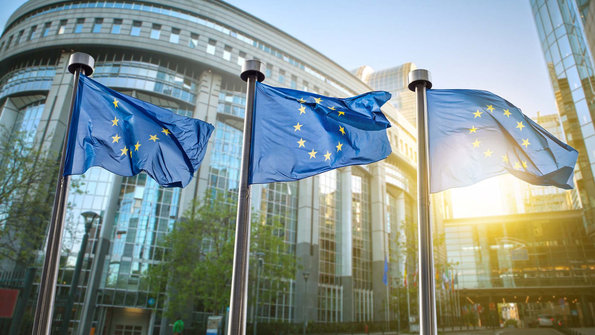 Bandeira da UE; imagem para lei antidesmatamento | Crédito: Schutterstock
