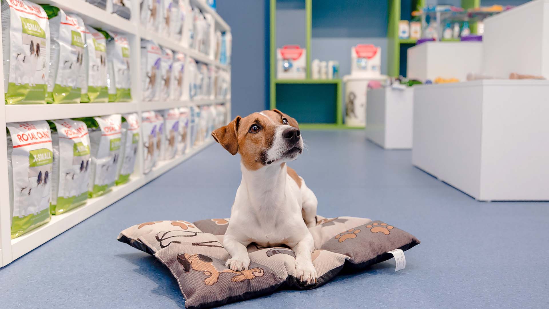 Mars Royal Canin