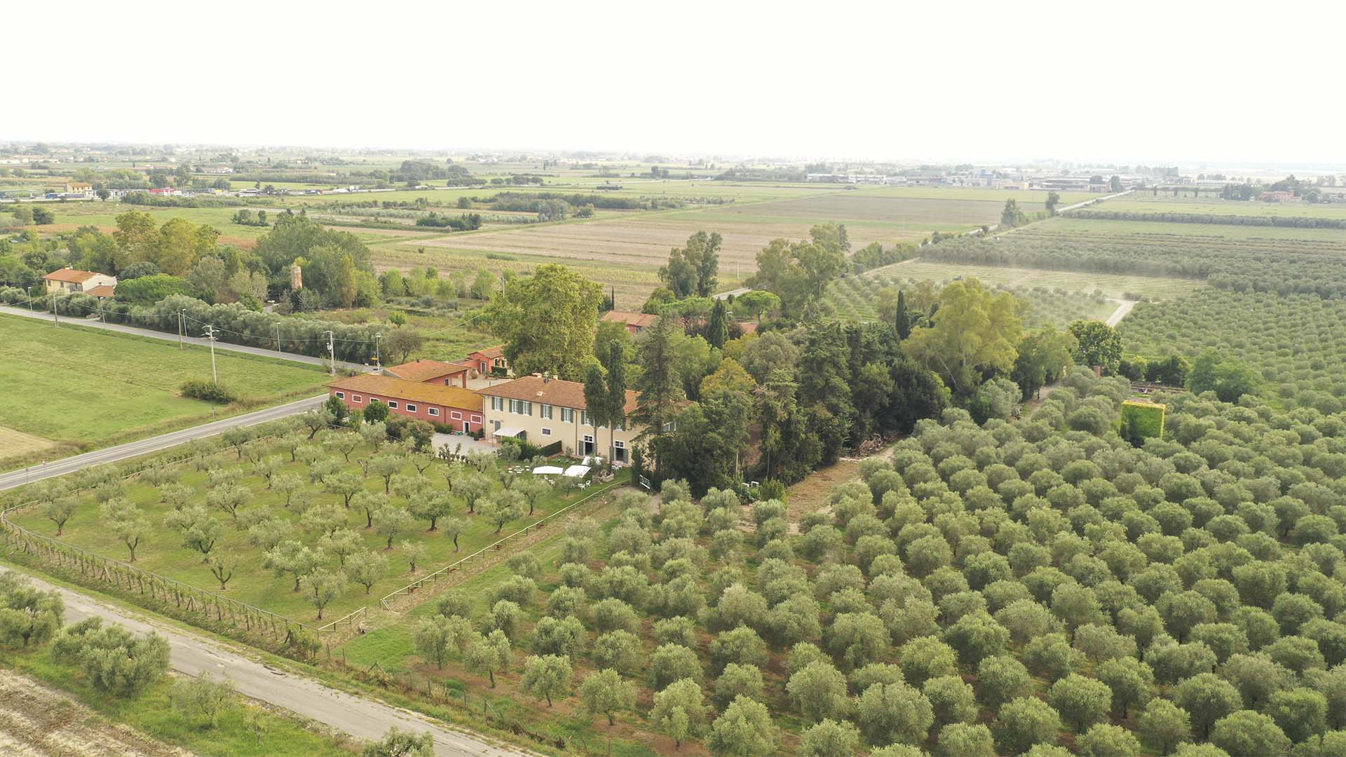 Fazenda da Filipo Berio na Itália, produtora de azeites | Crédito: Divulgação