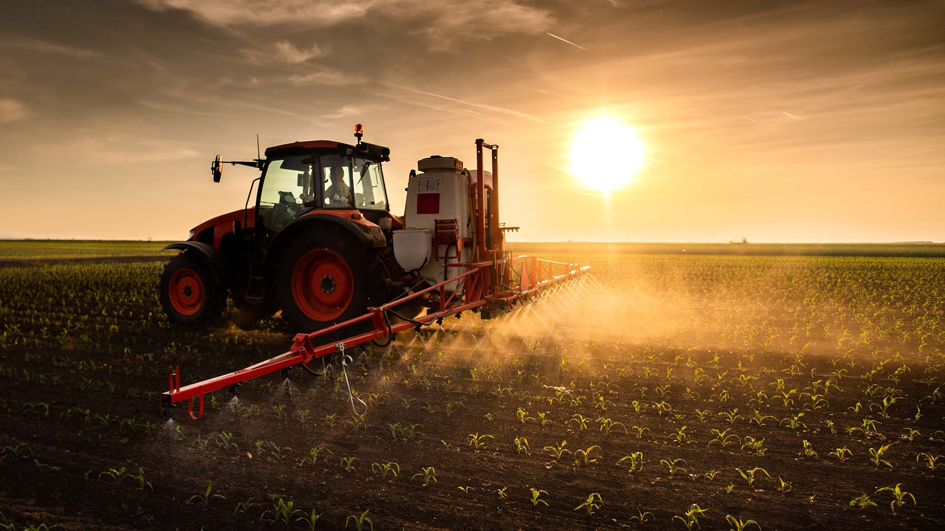 Defensivos agrícolas, Rainbow