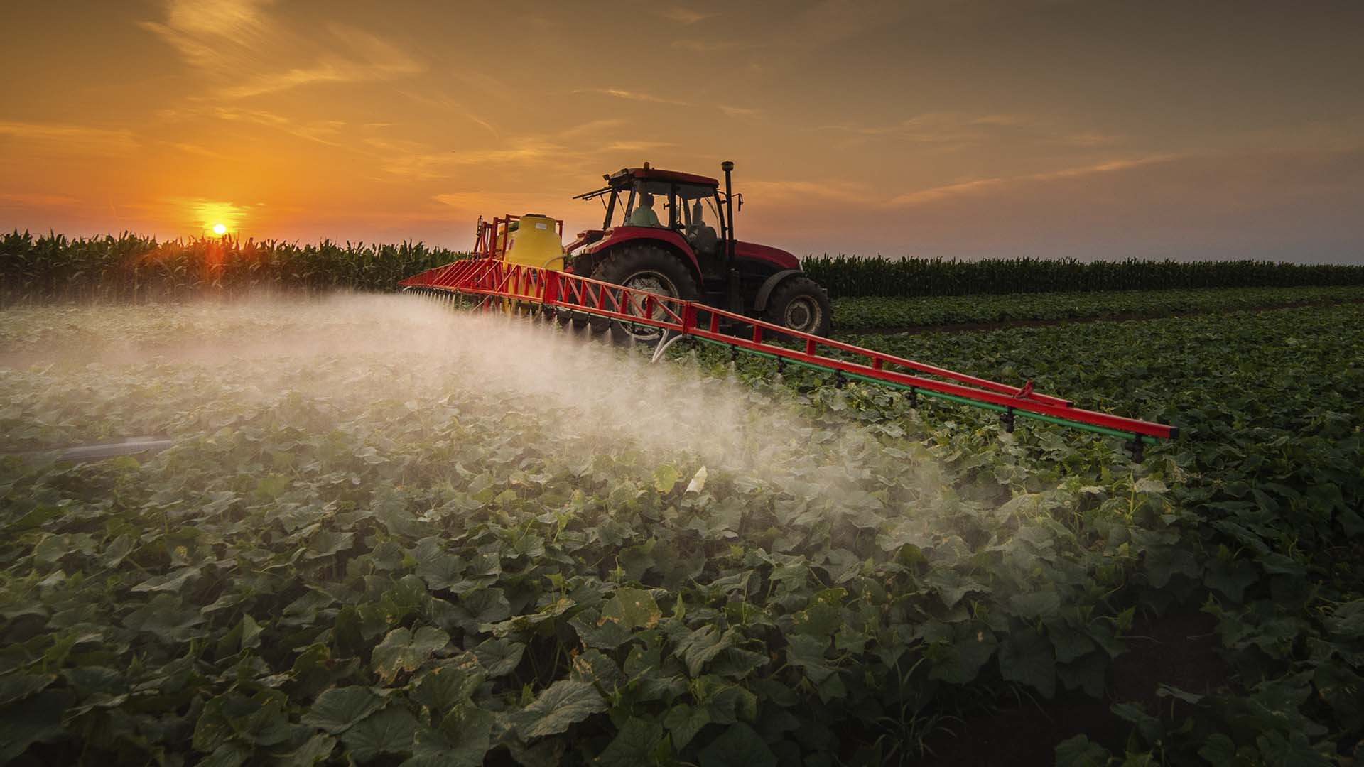 Pesticidas na agricultura
