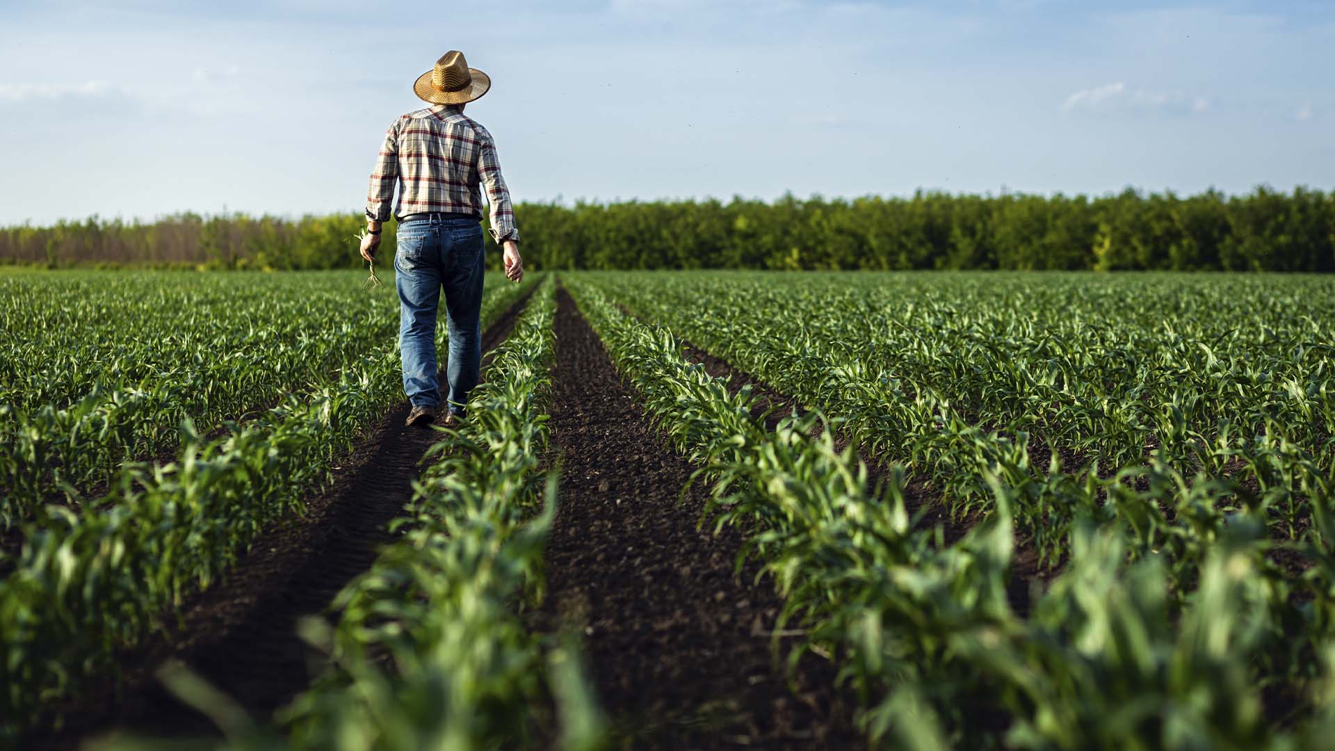 Produtor rural, crédito, Fiagro, Tarken | Crédito: Schutterstock