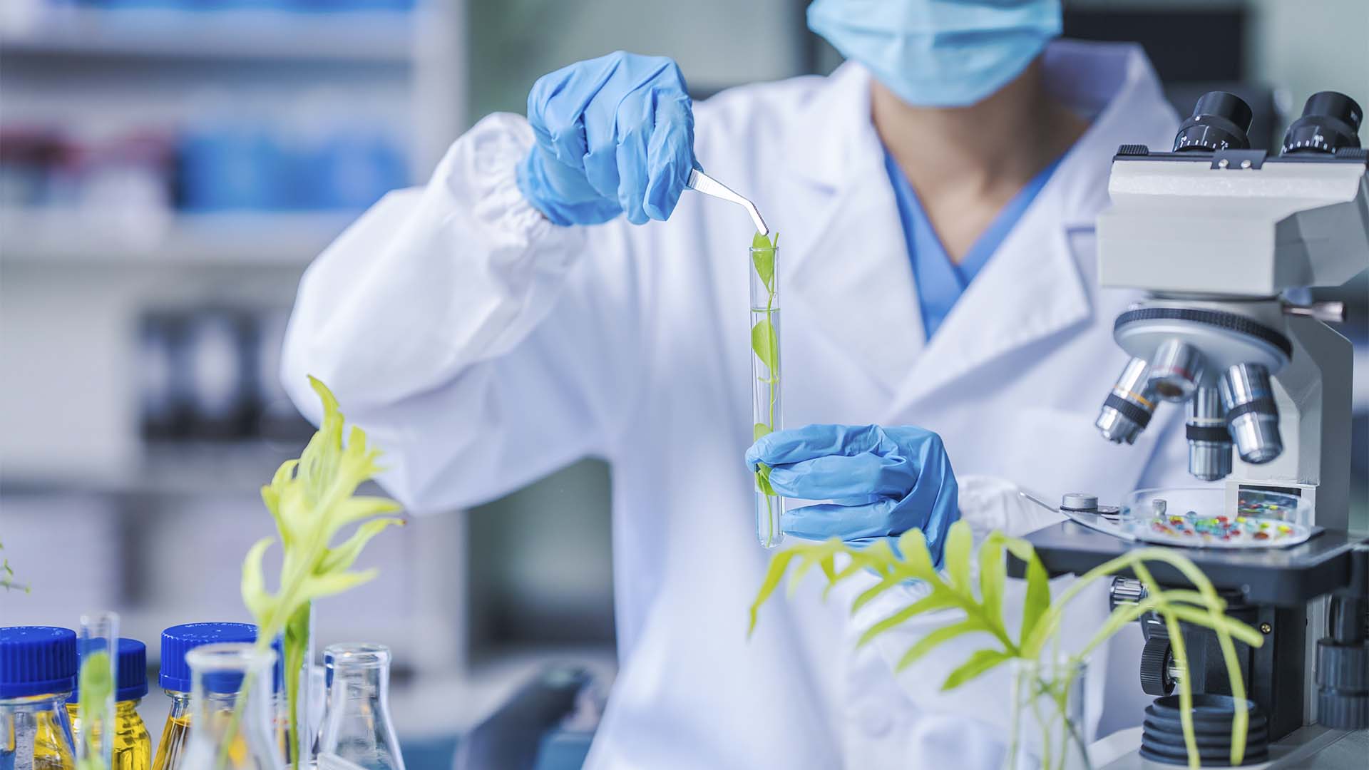 Biotecnologia | Crédito: Schutterstock