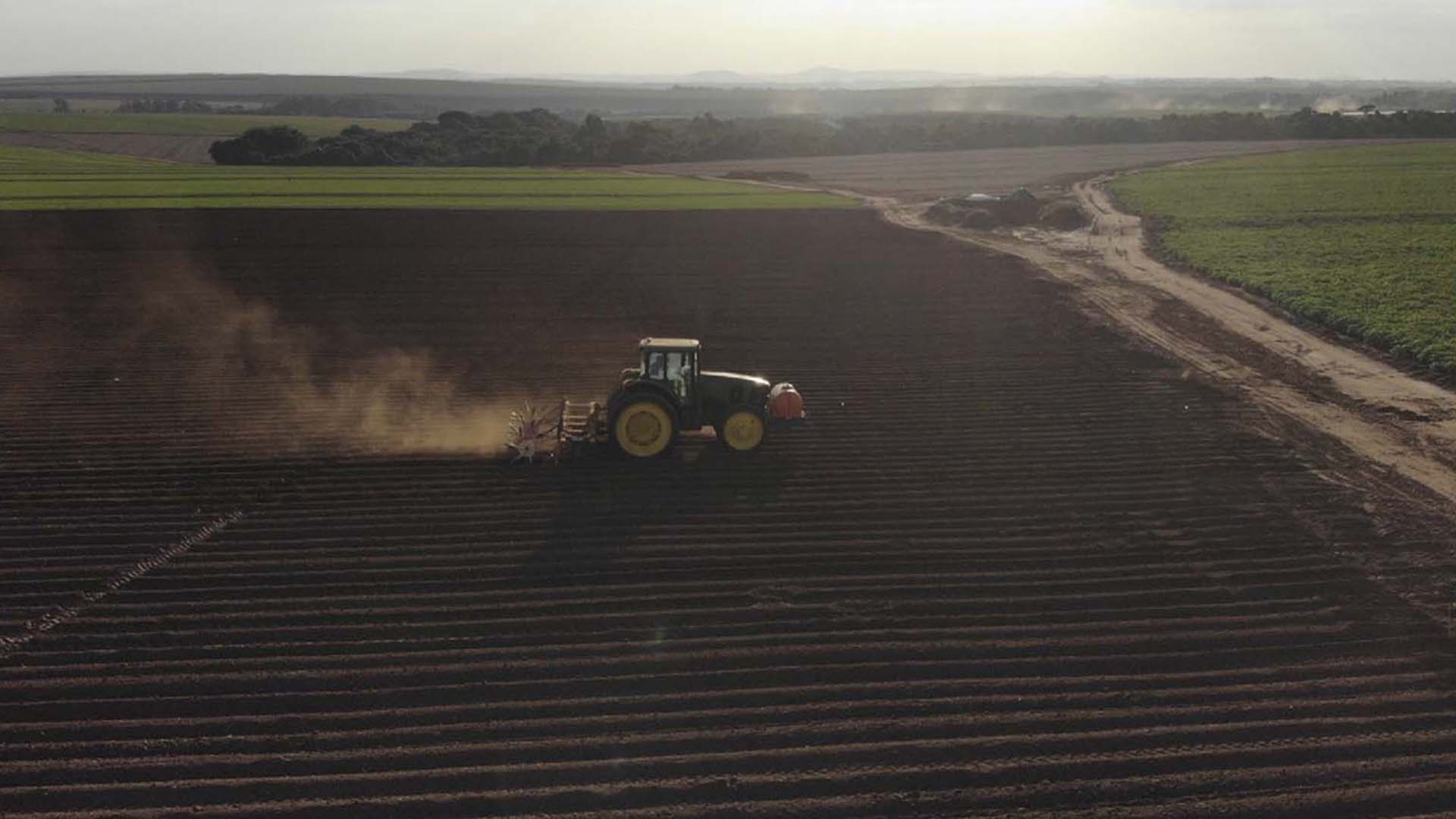 General Mills, fazenda terra viva