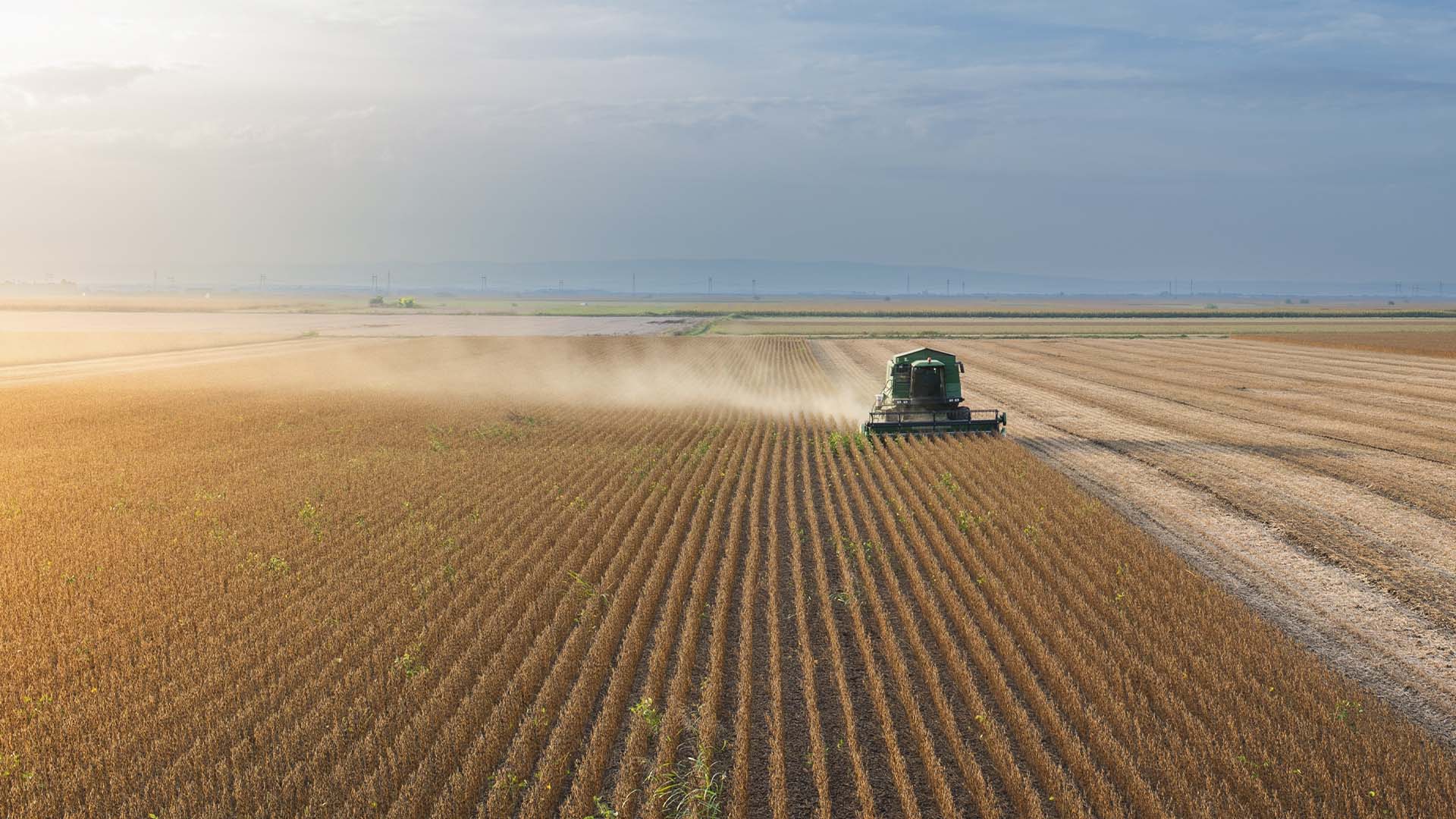 Soy harvesting