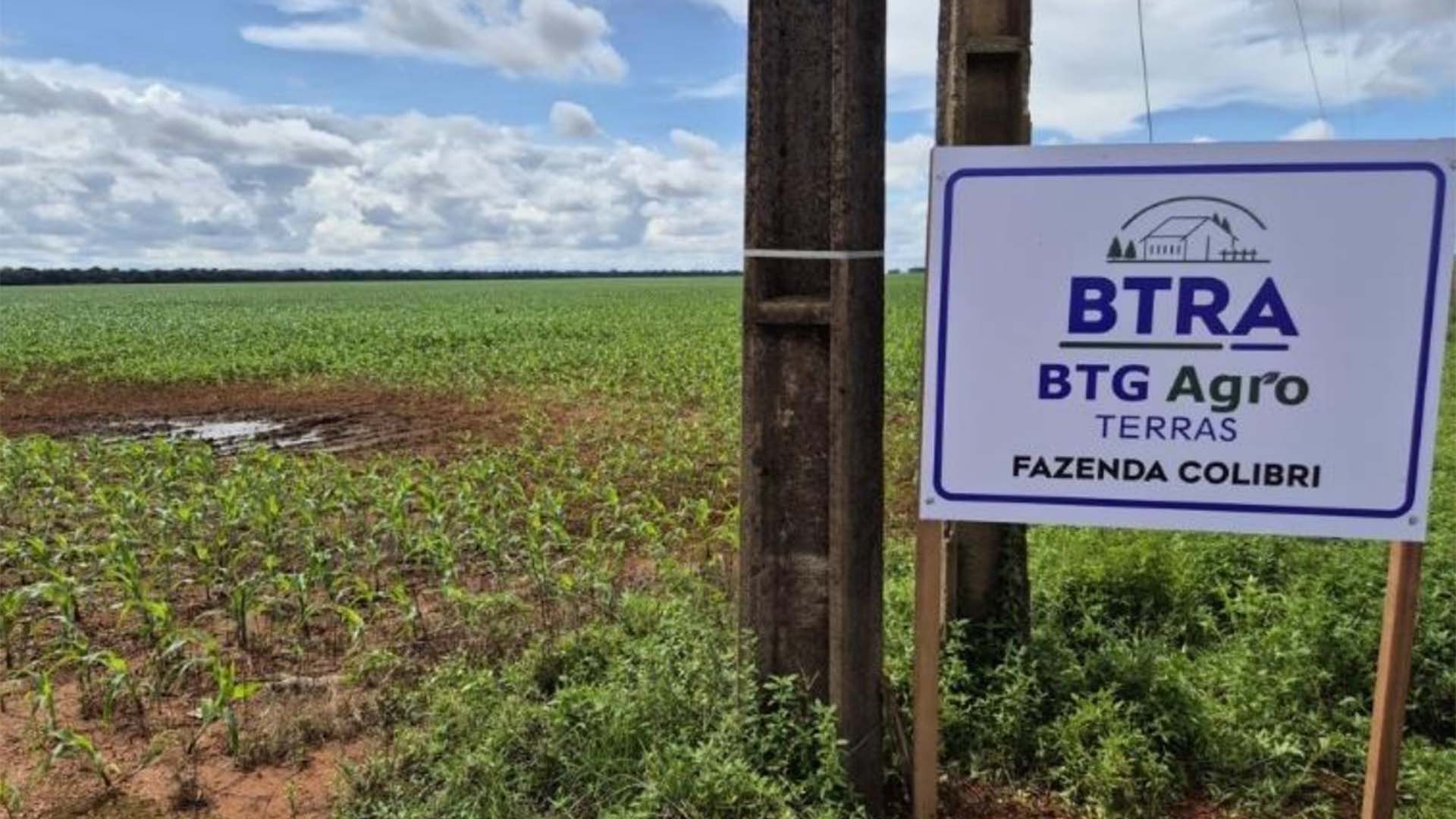 BTG Agro