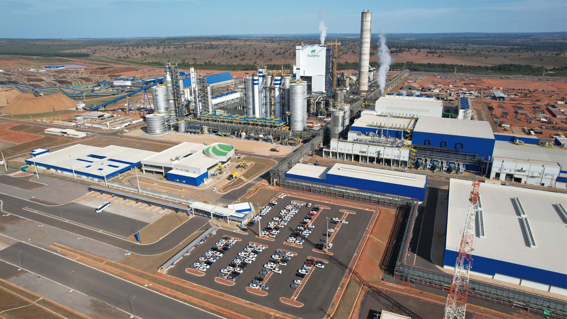 Projeto Cerrado, da Suzano | Crédito: Divulgação