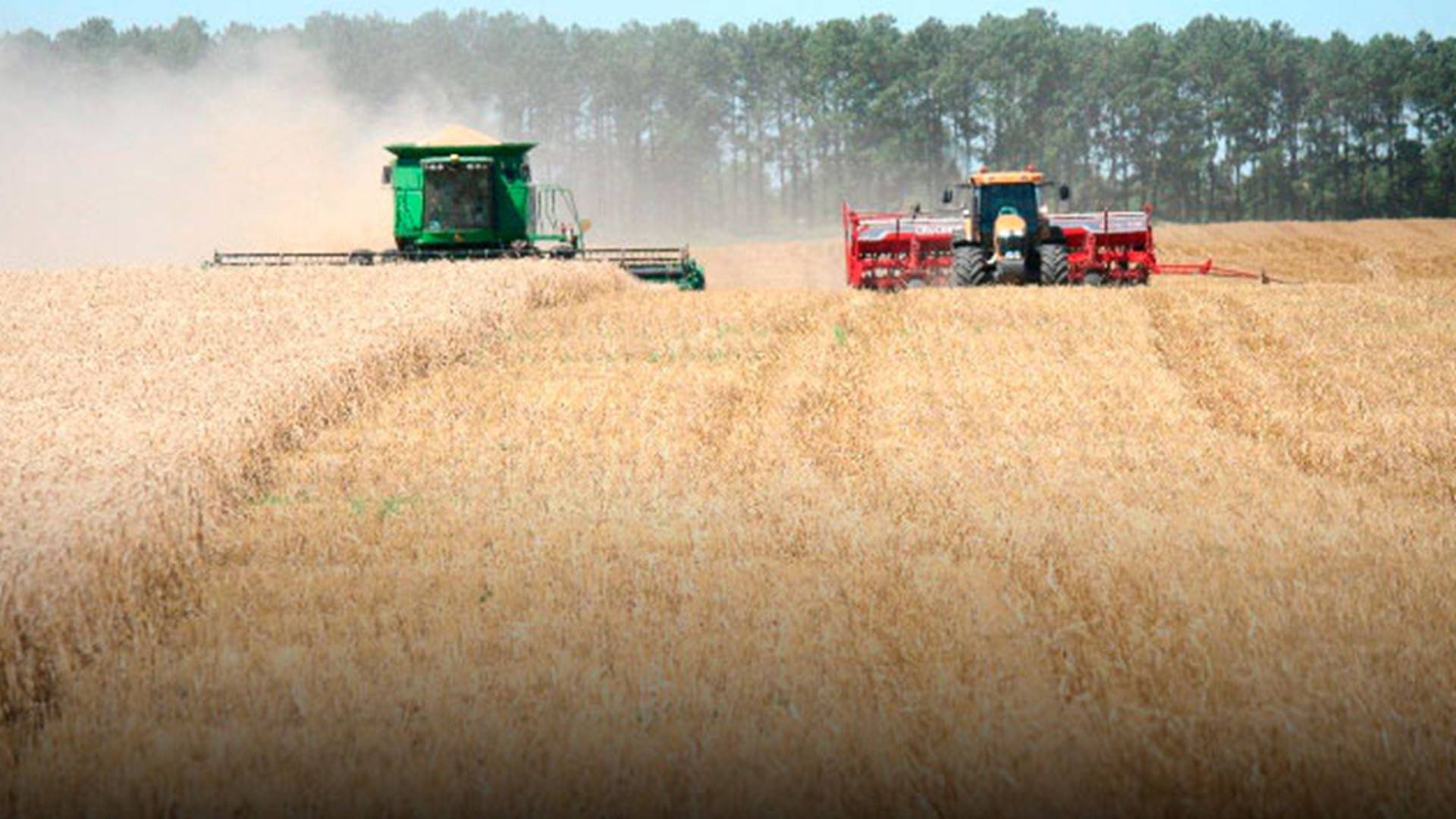 Adecoagro grãos