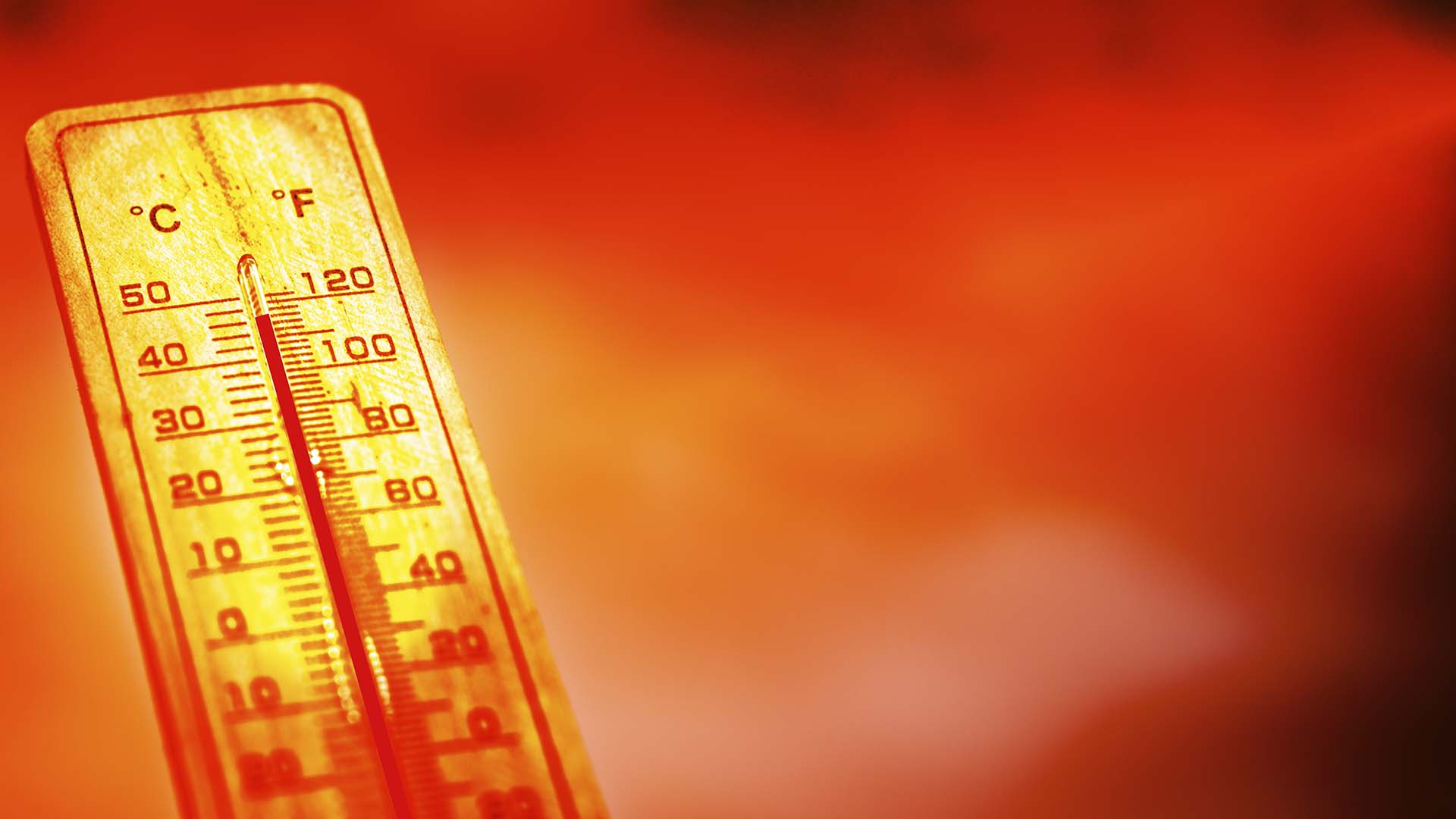 Calor