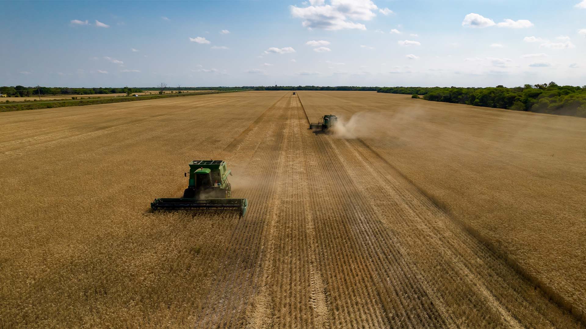 Adecoagro aceita negociar venda do controle para Tether