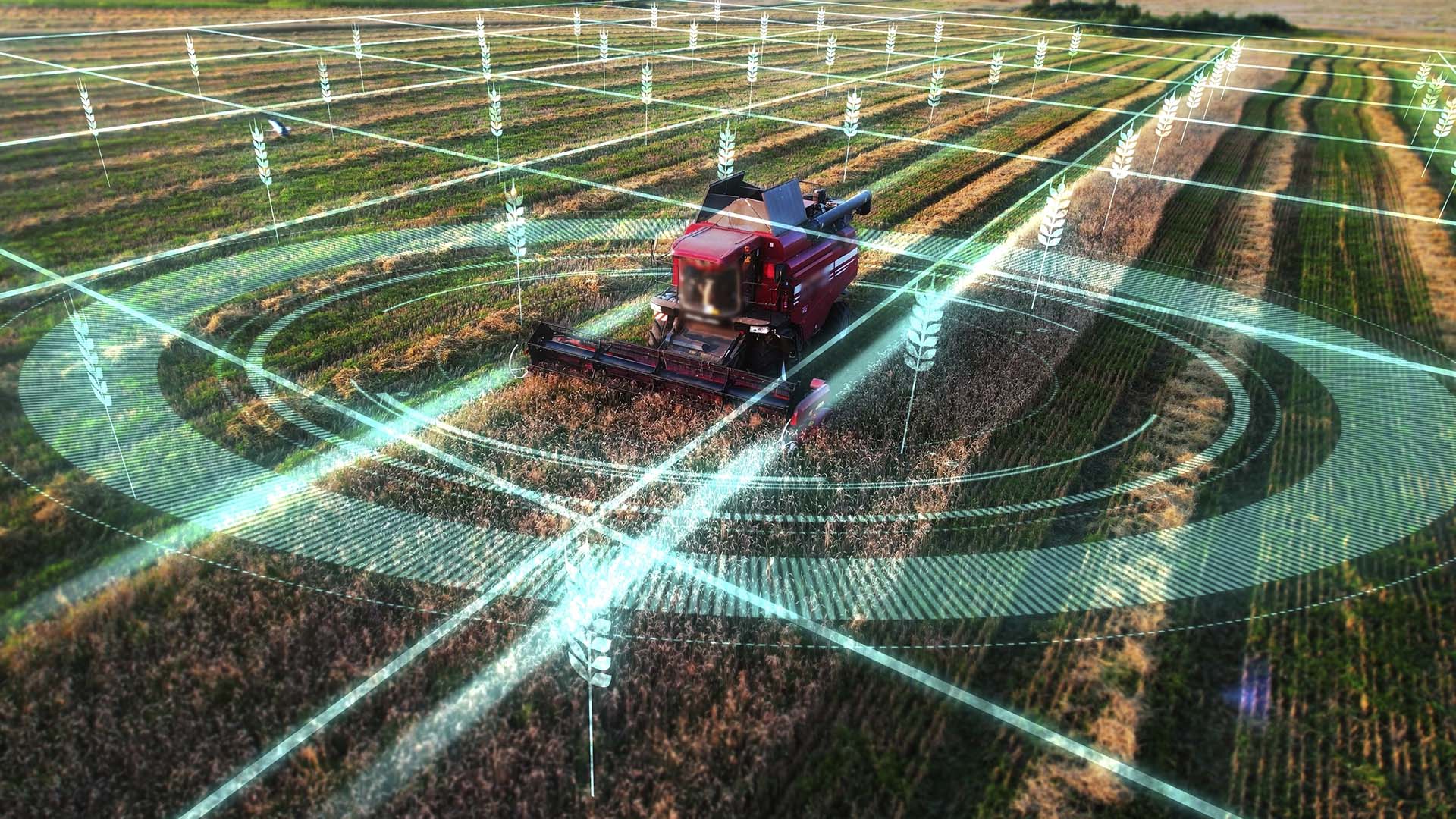 Serasa inteligência artificial na agricultura