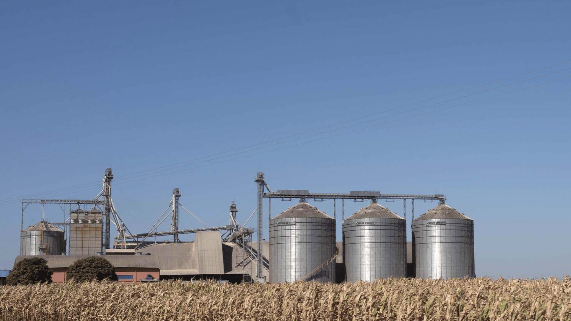 Silos que fazem parte da estratégia de investimento do BTAL11